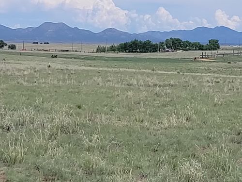 7 Colella Rd, Stanley, NM, 87056-9200 | Card Image