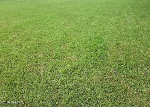 Lot 11 And E Birch Lane, Port Barre, LA, 70577 | Card Image