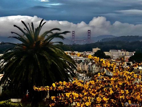 2422 Pacheco St, San Francisco, CA, 94116-1150 | Card Image
