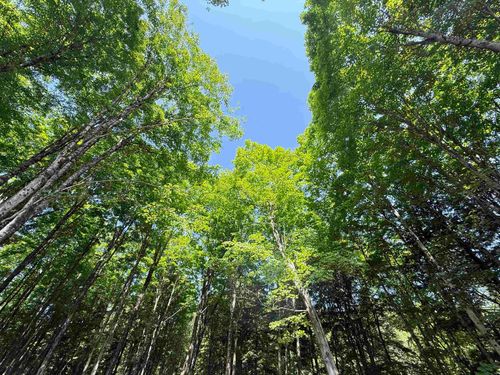 00 Vt Route 14 N, East Montpelier, VT, 05651 | Card Image