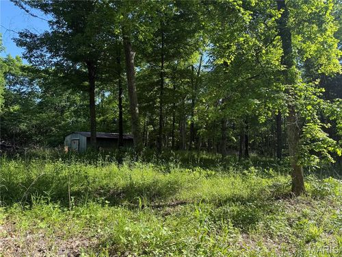0 Rustic Acres Dr, Bonne Terre, MO, 63628 | Card Image