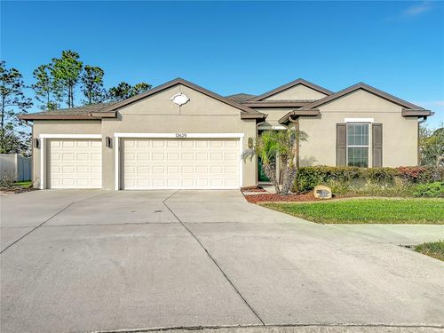 12629 Palapa Loop, SPRING HILL, FL, 34610-6826 | Card Image