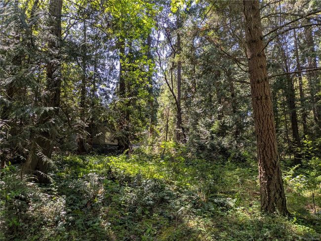 35 Captain Morgans Blvd, Home with 0 bedrooms, 0 bathrooms and 2 parking in Protection Island BC | Image 7