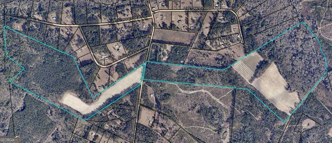 19816-ACRES - 0 Old Happy Rd, Home with 0 bedrooms, 0 bathrooms and null parking in Brooklet GA | Image 11