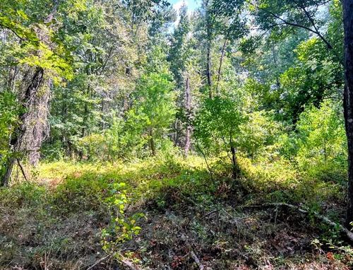 0 An County Road 1204, Elkhart, TX, 75839 | Card Image