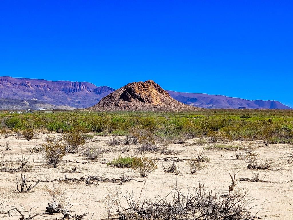 Land in Terlingua