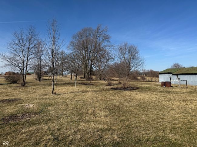 view of yard | Image 38