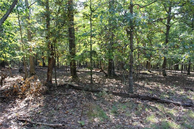 2231 Shady Ridge Road, Home with 0 bedrooms, 0 bathrooms and null parking in Kansas OK | Image 9