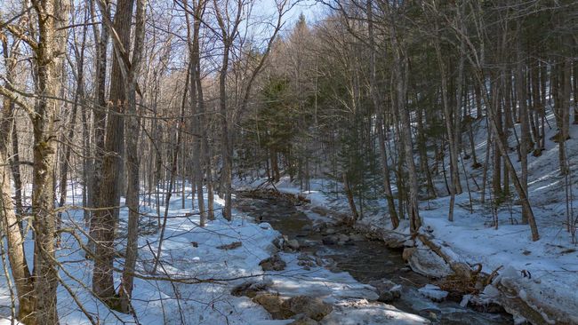 2469 Augur Hole Rd, House other with 2 bedrooms, 4 bathrooms and null parking in South Newfane VT | Image 38