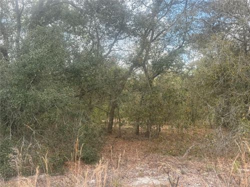 tbd Se 131st Ter, Dunnellon, FL, 34431 | Card Image