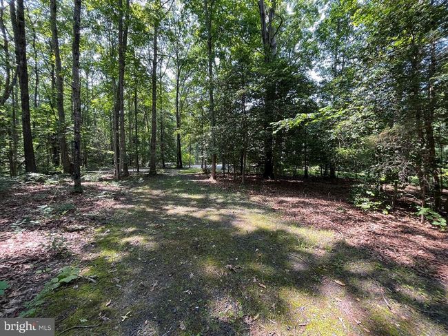 11459 Bristersburg Rd, House other with 5 bedrooms, 4 bathrooms and null parking in CATLETT VA | Image 29