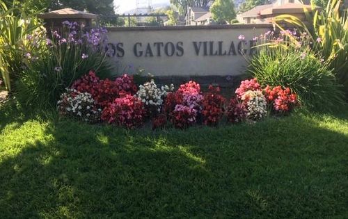 119 Escobar Avenue, Los Gatos, CA, 95032 | Card Image