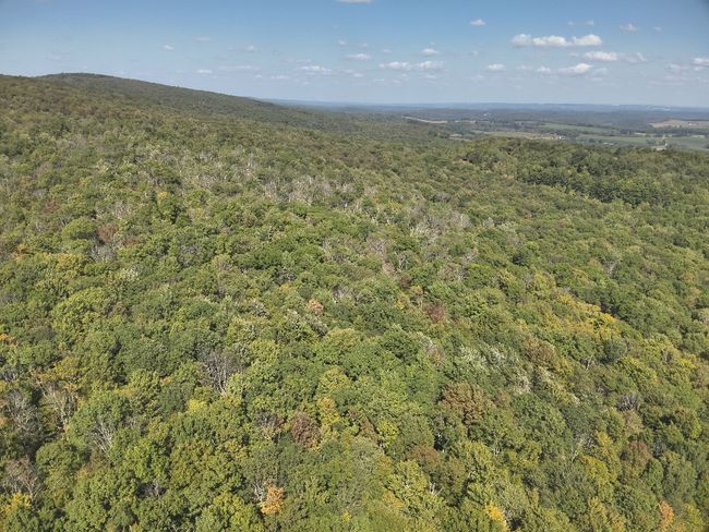 0 Forest Rd, Home with 0 bedrooms, 0 bathrooms and null parking in Boswell PA | Image 15