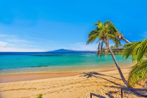 8-65 Hui Dr, Lahaina, HI, 96761-9008 | Card Image