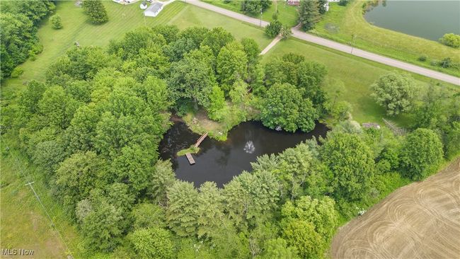 52 Arbor Road Ne, House other with 3 bedrooms, 2 bathrooms and null parking in Minerva OH | Image 40