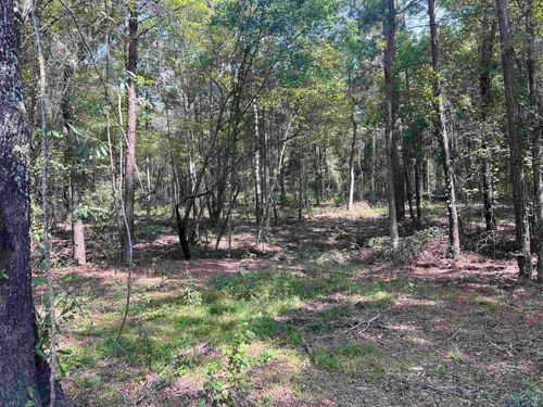 TBD County Road 476, Henderson, TX, 75654 | Card Image