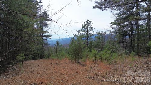 850-850 Harmonys Edge, Old Fort, NC, 28762 | Card Image