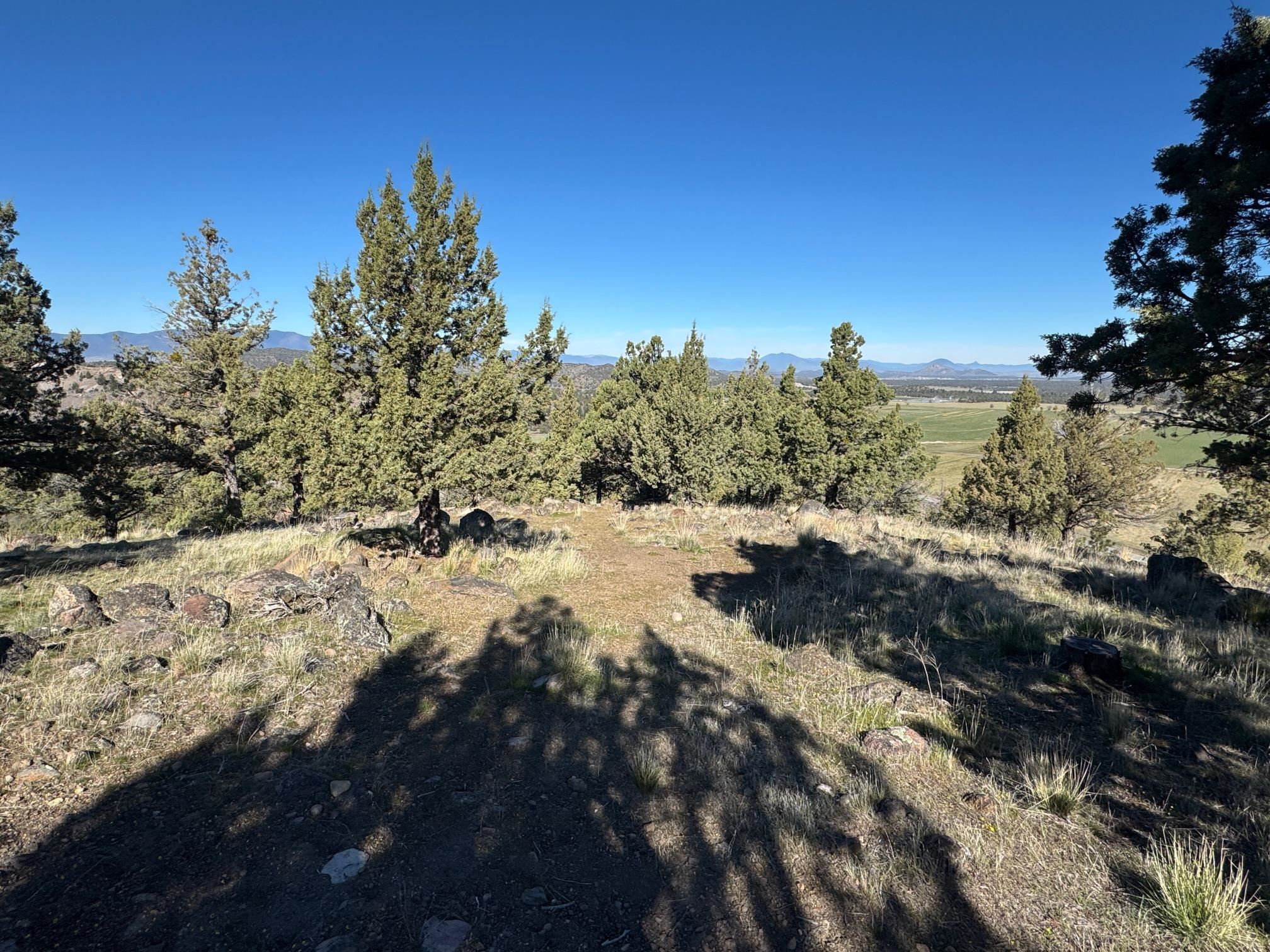 Land in Weed