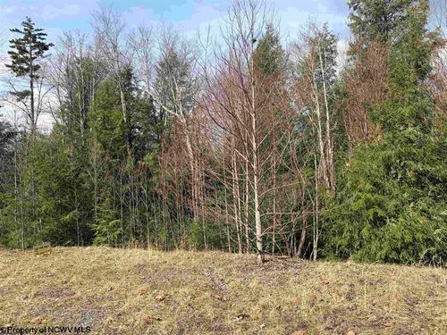 Lot 76 Bassilla Way, Davis, WV, 26260 | Card Image