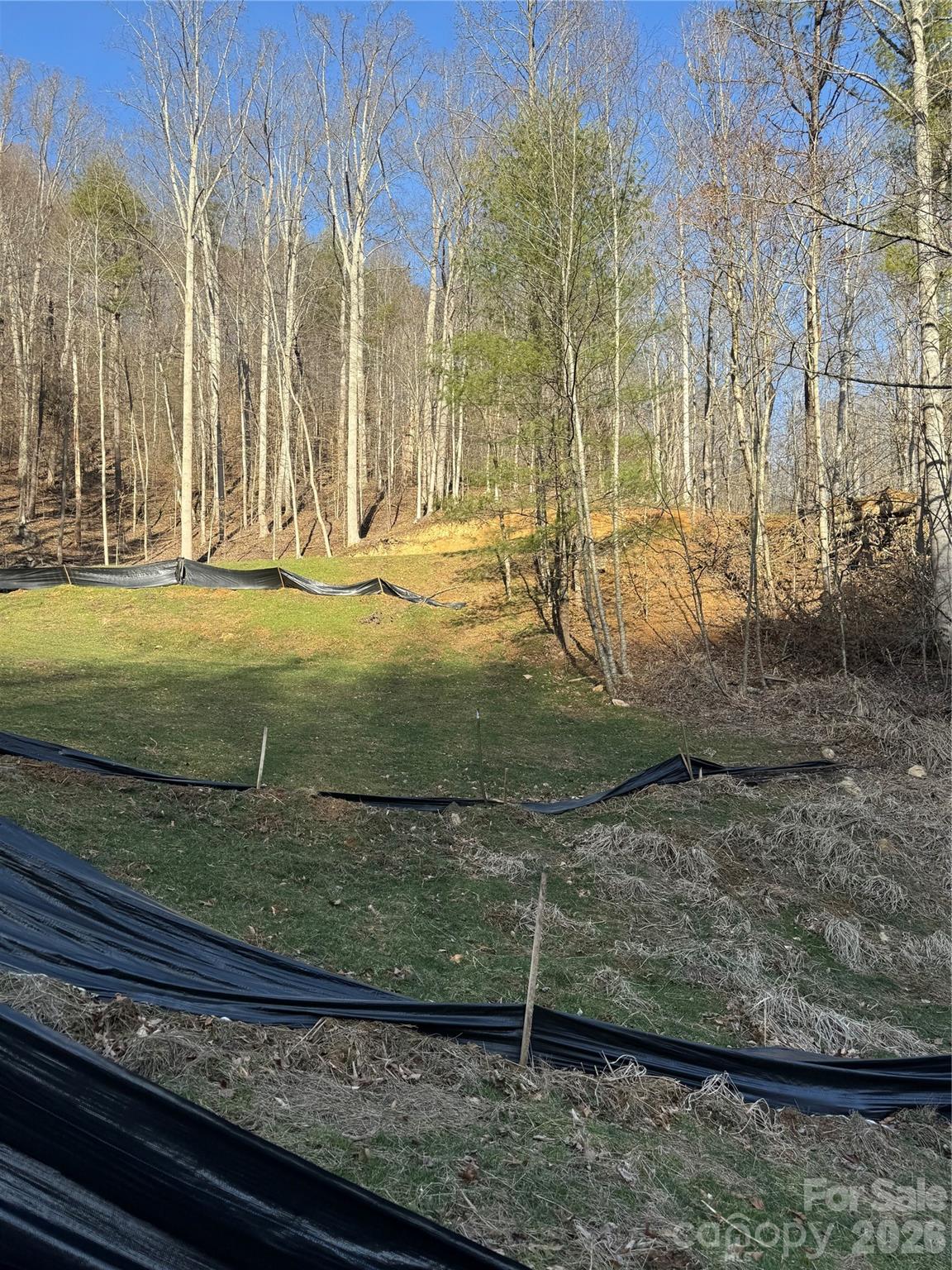 Land in Marshall 4