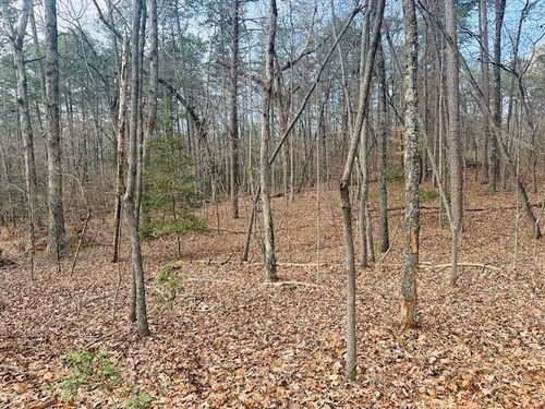 28 Fern Park Dr, Dawsonville, GA, 30534-8489 | Card Image