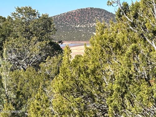 lot 79 Ranch Road, Vernon, AZ, 85940 | Card Image