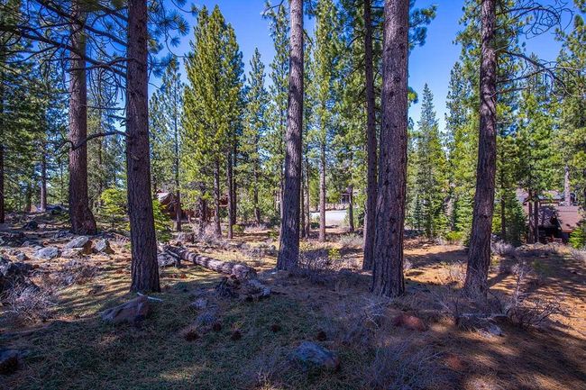 524 Lars Haugen, Home with 0 bedrooms, 0 bathrooms and null parking in Truckee CA | Image 11