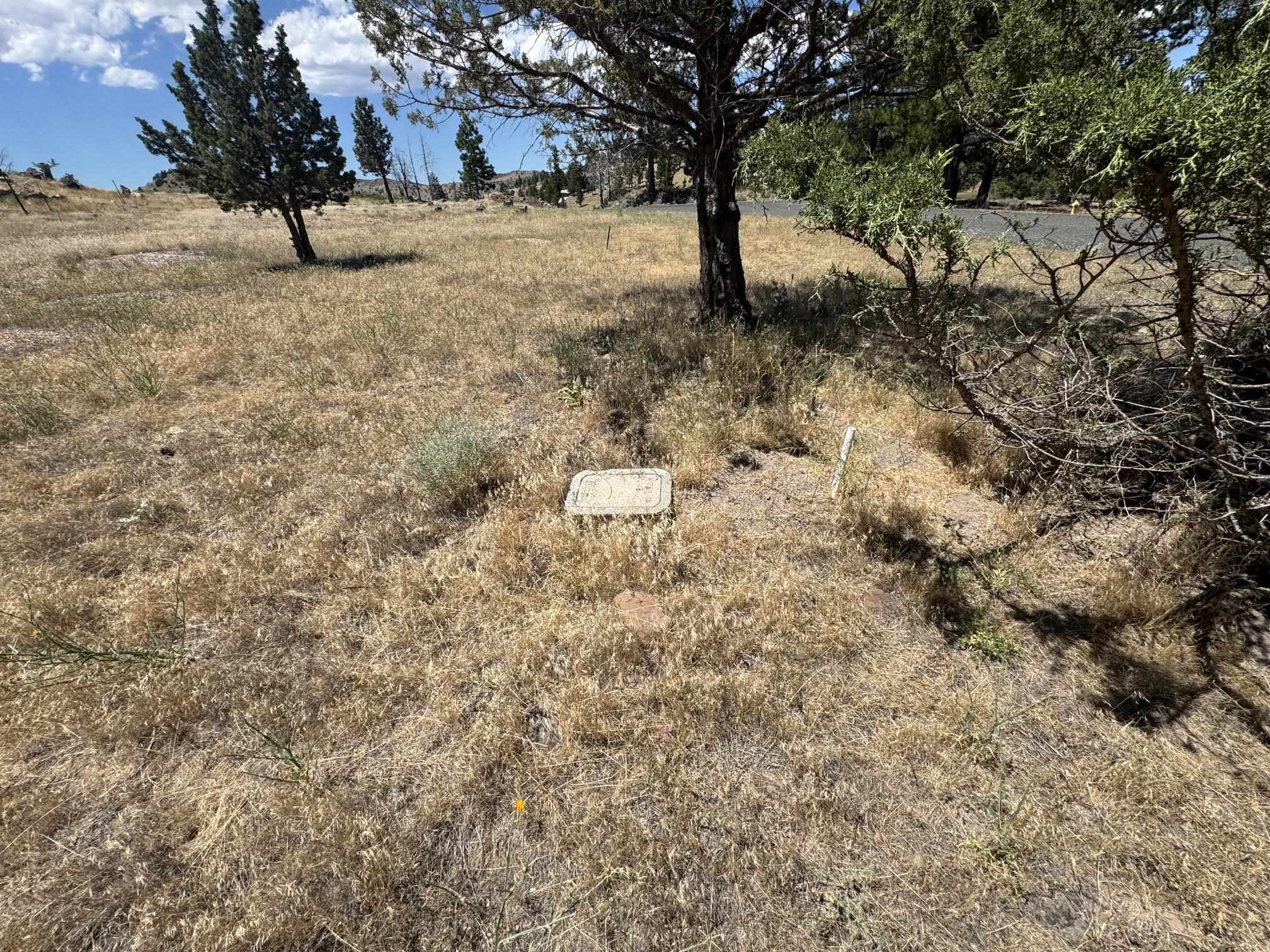 Land in Weed 4