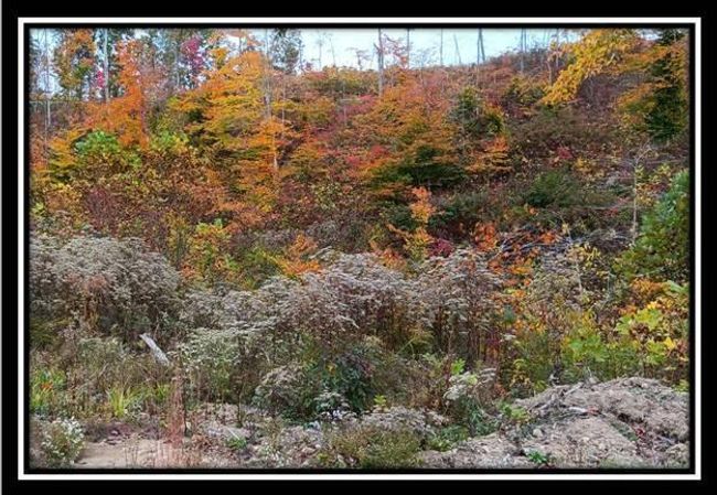 TRACT-1 - 34482 Huston Rd, Home with 0 bedrooms, 0 bathrooms and null parking in Radcliff OH | Image 21
