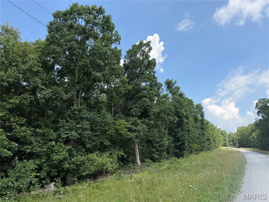 Land in Monroe City 4