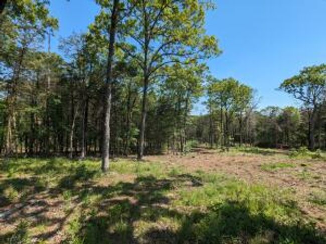 27B & 28B Shelby Lane, Home with 0 bedrooms, 0 bathrooms and null parking in Cecil AR | Image 37