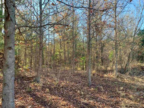 TBD Lasalle Ave, Ore City, TX, 75683 | Card Image