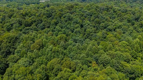 Lot 14 Bell Hollow Rd, Cannelton, IN, 47520 | Card Image
