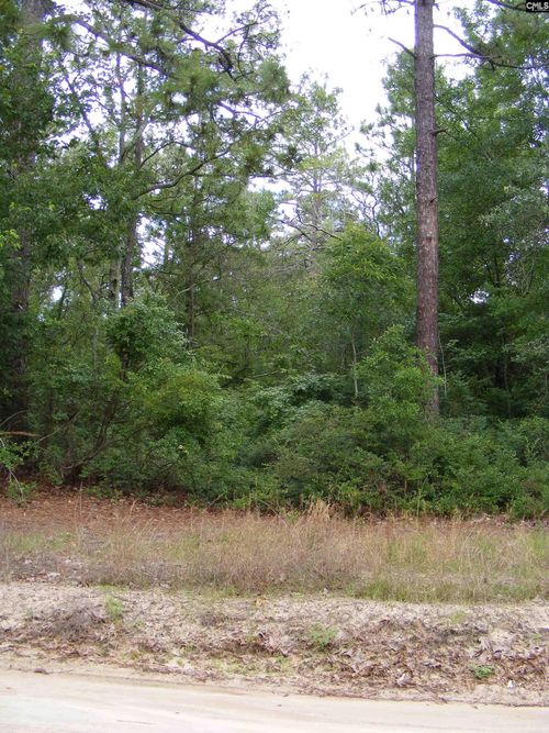 412 Sells Ct, Pelion, SC, 29123-9657 | Card Image