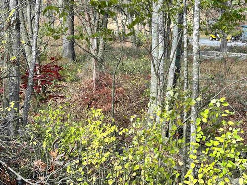 75 Upper Isner Creek Rd, Elkins, WV, 26241 | Card Image