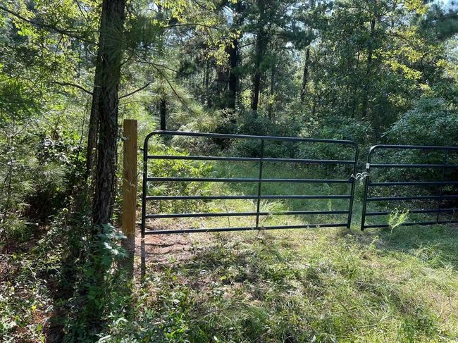 00 Fm 1751, Home with 0 bedrooms, 0 bathrooms and null parking in BRONSON TX | Image 5