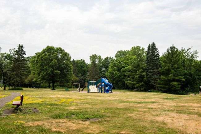 charming park | Image 8