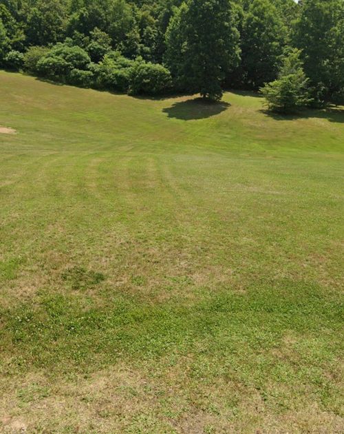 4307 Surji Cir, Centerville, TN, 37033-1087 | Card Image