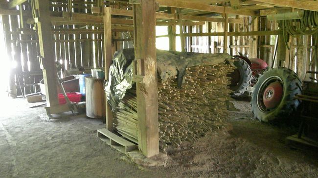 5963 Ky Highway 36 E, Home with 0 bedrooms, 0 bathrooms and null parking in Sanders KY | Image 18