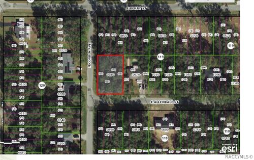 3817 E Allendale St, Inverness, FL, 34453-0487 | Card Image
