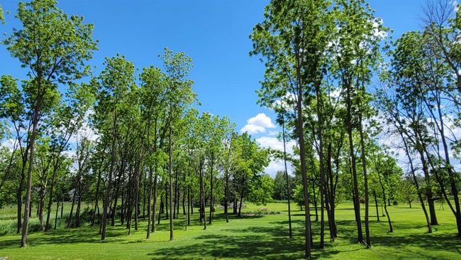 301 Edenview, Condo with 2 bedrooms, 2 bathrooms and null parking in EDEN WI | Image 8
