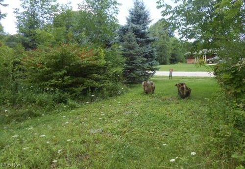 VL Shurmer Road, Strongsville, OH, 44136 | Card Image