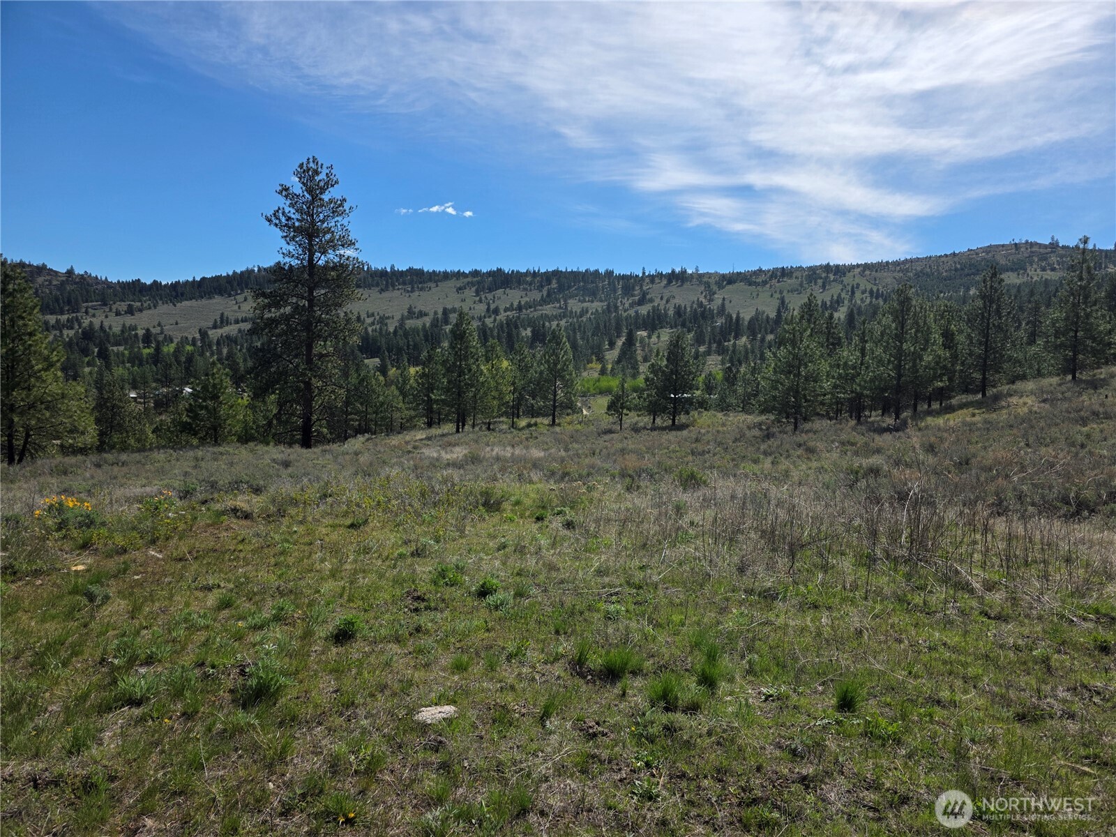 Land in Tonasket 3