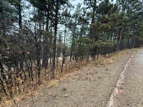 119 Valley Rd, Angel Fire, NM, 87710 | Card Image