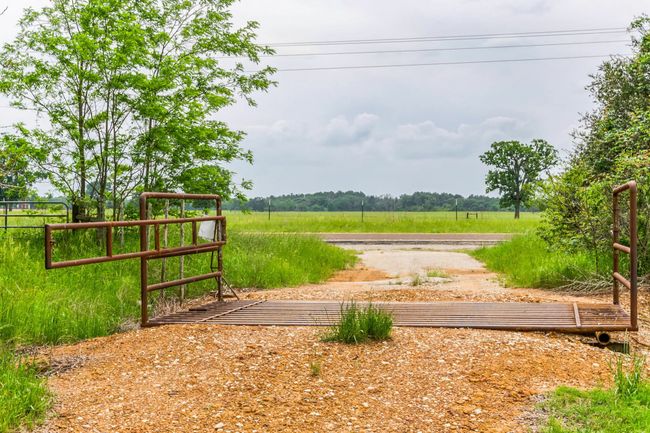 0 Fm 645, Home with 0 bedrooms, 0 bathrooms and null parking in Tennessee Colony TX | Image 4