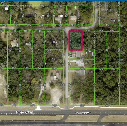 Lot 175C Madison Ave, DADE CITY, FL, 33523 | Card Image