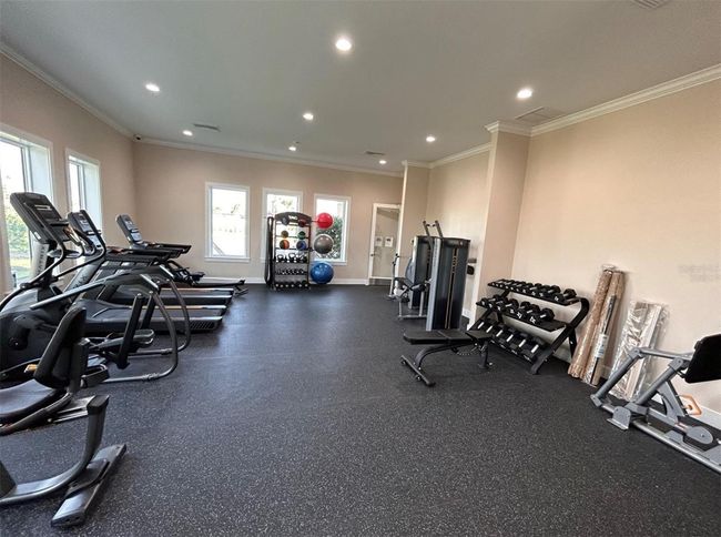 50 Del Palma Dr, Home with 0 bedrooms, 0 bathrooms and null parking in PALM COAST FL | Image 8