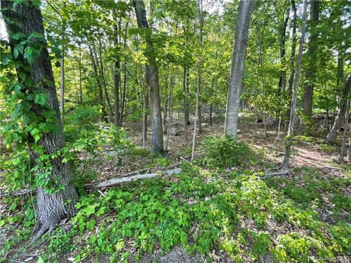 75 Birch Paper Trl, Carmel, NY, 10512 | Card Image