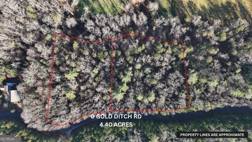 LOT 10 Gold Ditch Road, Cleveland, GA, 30528 | Card Image