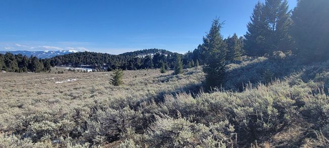 3 Bivens Creek Ridge Road, Home with 0 bedrooms, 0 bathrooms and null parking in Sheridan MT | Image 19